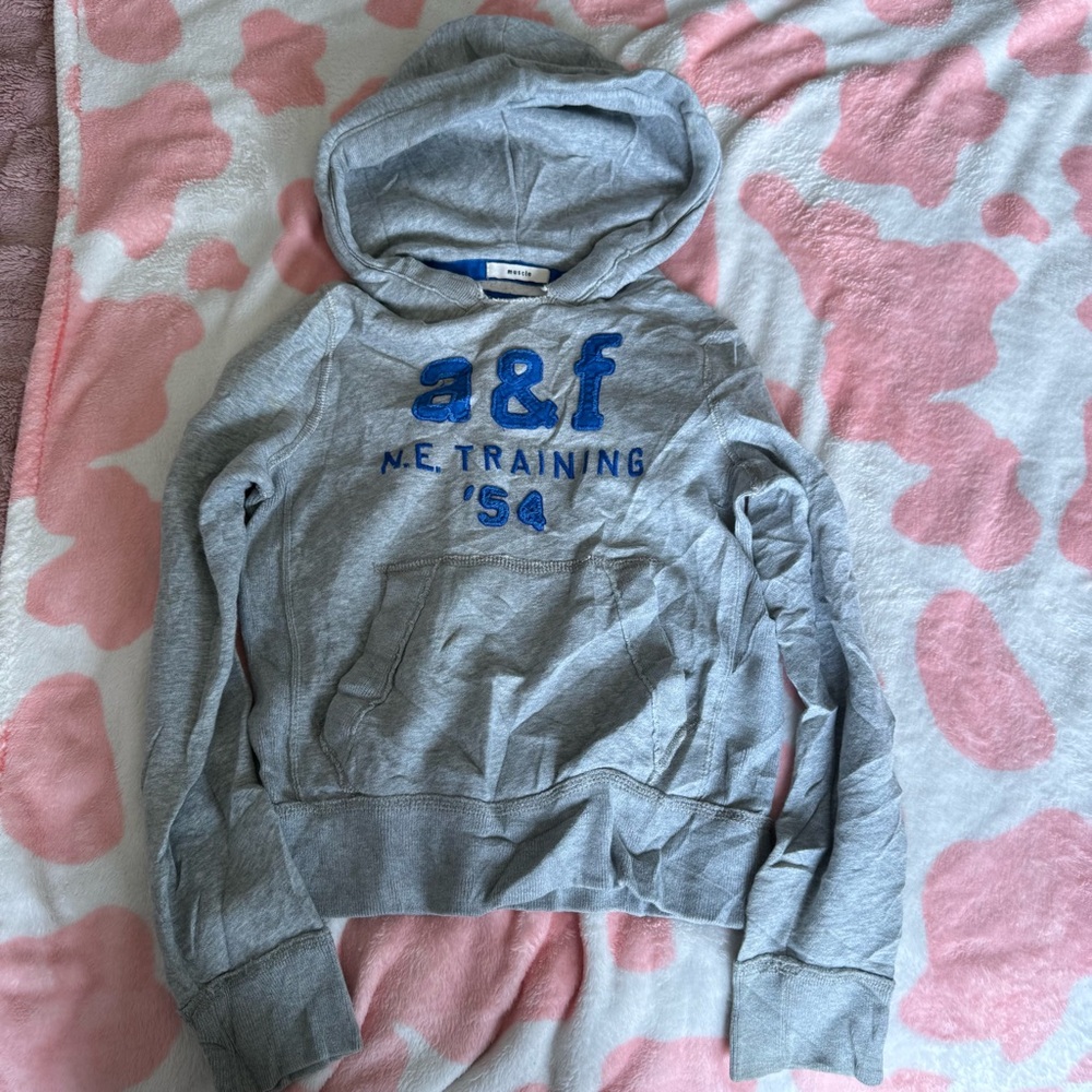 Abercrombie & Fitch Gray Hoodie with Blue Logo